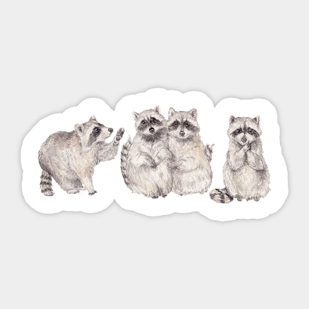 Cute watercolor raccoons Sticker by wanderinglaur